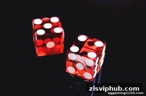 AG真人 zlsviphub